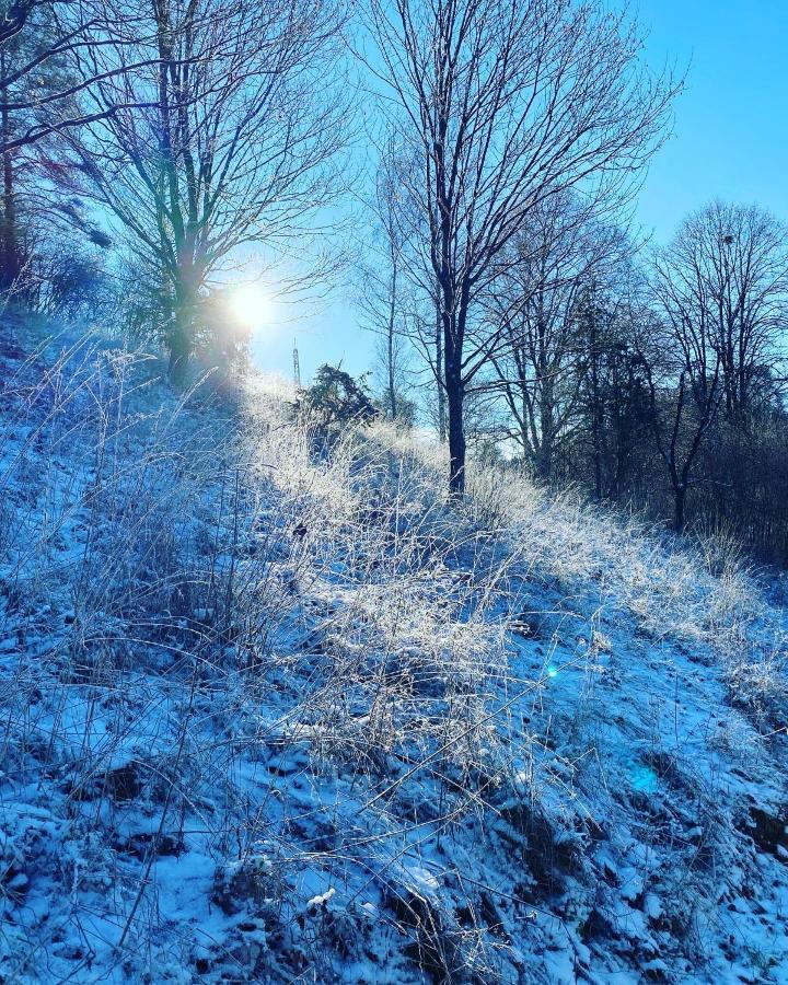 Gasthof Zur Saegemuehle Hiltpoltstein Buitenkant foto