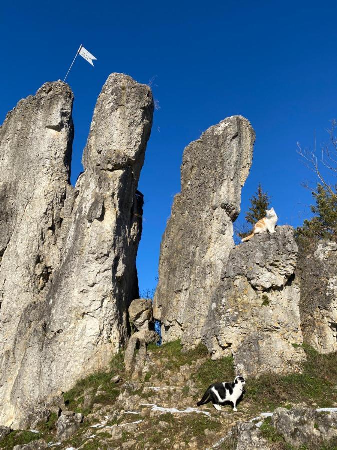 Gasthof Zur Sagemuhle Appartement Hiltpoltstein Buitenkant foto