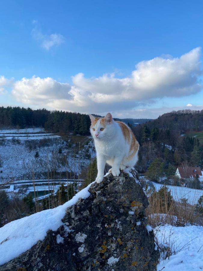 Gasthof Zur Sagemuhle Appartement Hiltpoltstein Buitenkant foto