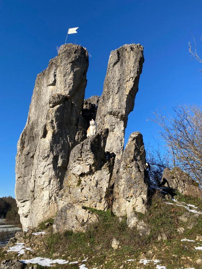 Gasthof Zur Sagemuhle Appartement Hiltpoltstein Buitenkant foto